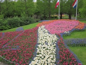 Hebat yah, tulip disusun menyerupai wajah orang