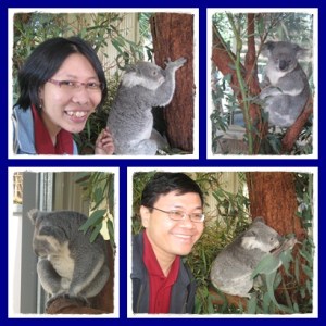 Gemesin bangeeeeet !!