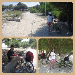 transportasi keliling pulau yang seru, murah dan menyehatkan