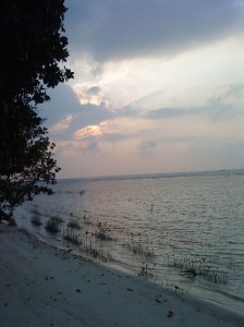 Early in the morning..