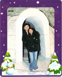 Memory of Snow world