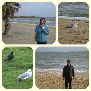 Burung pun menikmati..