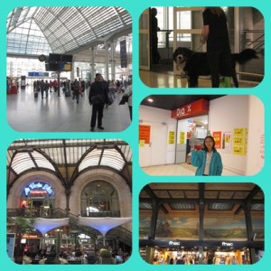 Gare du Lyon, Paris