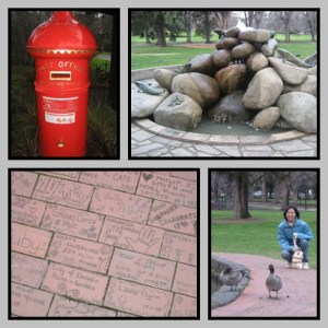 Inside Fitzroy Garden