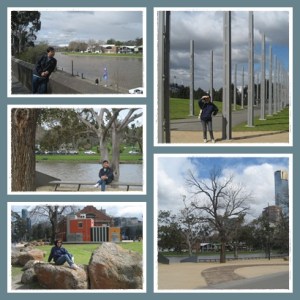 Yarra river surrounding