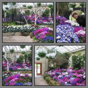 Semerbak bunga yang wangi