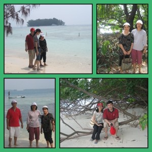 Pulau rimbun dengan pantai pasir putih. Lovely !