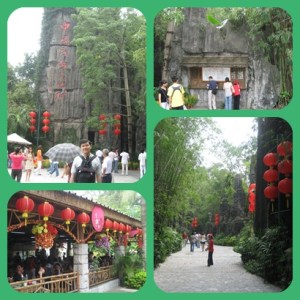 Gerbang masuk ke CFCV