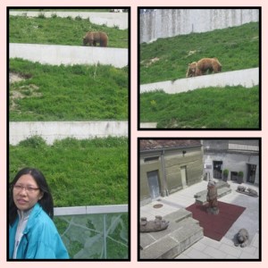 Original & Fake Bear :)