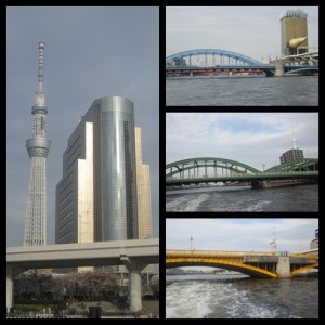 Bukan rainbow bridge