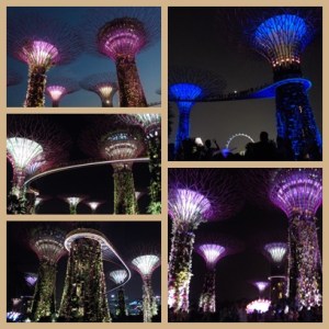 Supertree Groove @ night