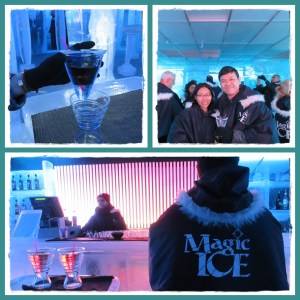 ice bar 3