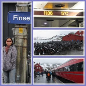 Sepeda luar biasa banyaknya