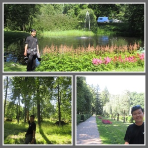 Sibelius Park